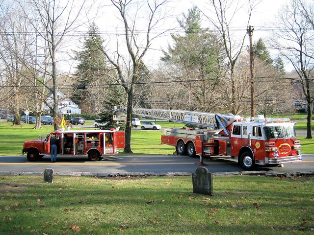 Kisco Helps Decorate the Tree on the Village Green